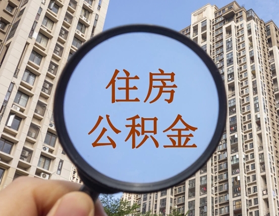 惠州退休后查不到公积金明细了吗（退休后公积金查询不到原因）